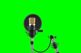 Image result for Button Recorder with Microphone