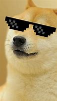 Image result for Pic of Dog Meme Phone