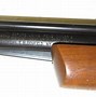 Image result for 22 Air Rifles Pump