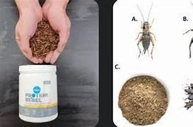 Image result for Foods That Use Acheta
