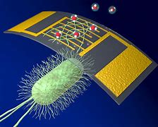 Image result for Biological Nanotechnology