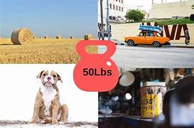 Image result for Examples of Things That Weigh 50 Pounds