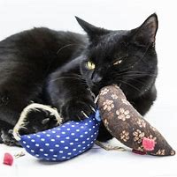 Image result for Catnip Cat Toys
