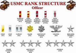 Image result for USMC Rank Structure Chart