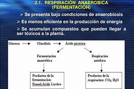 Image result for adrobiosis