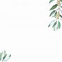 Image result for Eucalyptus Leaves Invitation