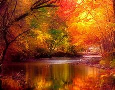 Image result for Beautiful Scenic Screensavers