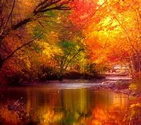 Image result for Computer Home Screen Backgrounds Free