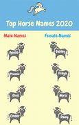 Image result for Horse Bit Names