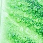 Image result for Greenery Leaf Background