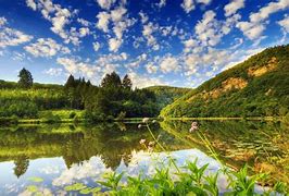 Image result for Nature HD Wallpaper for Laptop 1080P