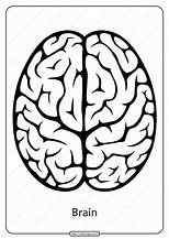 Image result for Blank Brain Outline