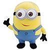 Image result for Despicable Me Sr 6