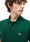 Image result for Lacoste Polo