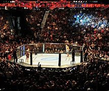 Image result for UFC Las Vegas Now