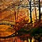 Image result for Autumn Surreal Art