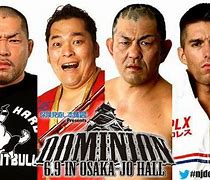 Image result for Dominion 2018