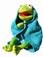Image result for Sad Kermit Frog with Blue Towel
