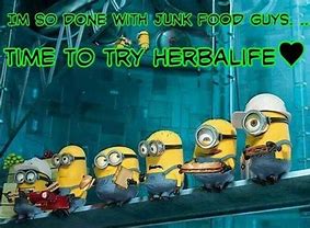 Image result for Herbalife Meme