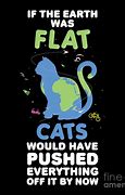 Image result for Flat Earth Cat Meme