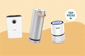 Image result for Air Purifier for Allergies