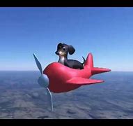 Image result for Flying Dog Meme Art