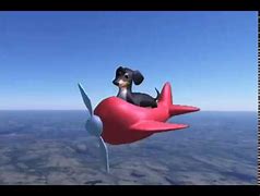 Image result for Weenie Dog Flying Meme