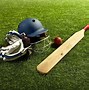 Image result for How to Find Good Cricket Pictures Free