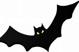 Image result for Brushie Bat