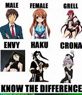 Image result for Anime Gender Memes