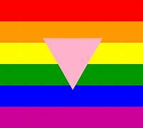 Image result for Rainbow Flag Pink Triangle