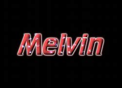 Image result for Melvin Stay Over