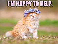 Image result for Happy to Help Out Meme