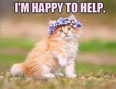 Image result for Happy to Help Meme