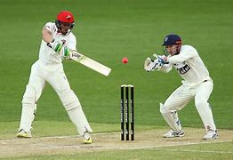Image result for Picture of Playing Cricket