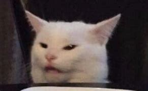 Image result for Angry Cat at Table Meme