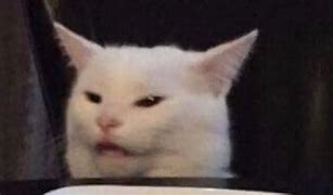 Image result for angriest cats meme
