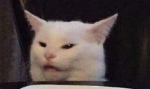 Image result for Angry Cat Aura Meme