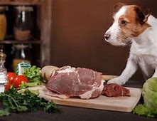 Image result for Feeding Your Dog Raw Food