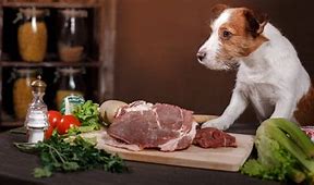 Image result for Raw Meat Dog Food Diet