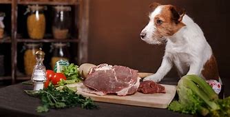 Image result for Raw Food Diet for Dogs