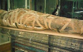 Image result for Non Egyptian Mummies