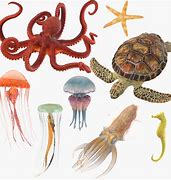 Image result for 3D Printed Sea Animals