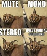 Image result for Audio Quality Meme