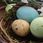 Image result for Quotes About Easter