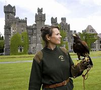 Image result for Ashford Castle Ireland Falconry