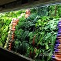Image result for Grocery Store Vegetables