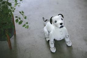 Image result for Sony Aibo Robot Dog Baby