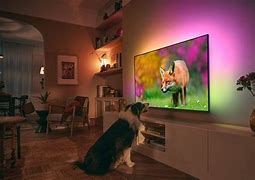 Image result for Philips Q-LED 4K TV