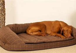 Image result for Large Dog Bed